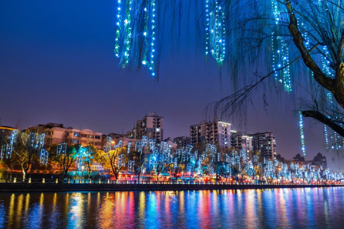 G20 Summit — Tree lighting of the Grand Canal